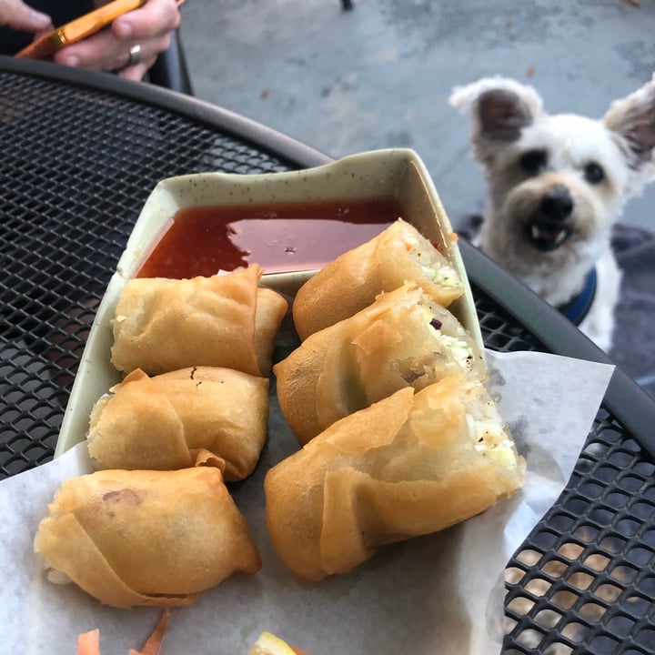 Bamboo Sushi and Hibachi Niceville, United States Spring Rolls Review