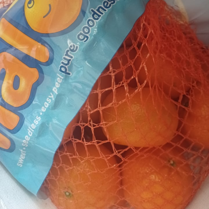 Halos Tangerines Reviews abillion