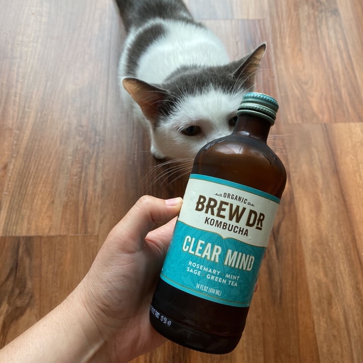 Brew Dr. Kombucha Clear Mind Review abillion