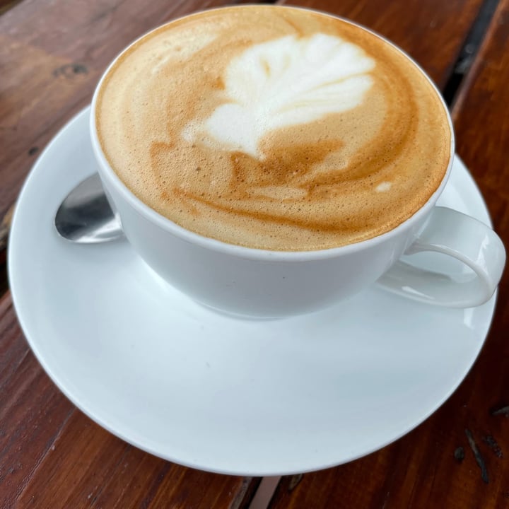 Good Life Café Shelly Beach, Margate, South Africa Soy Milk Cappuccino