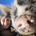 zoezurnamer @zoezurnamer profile image