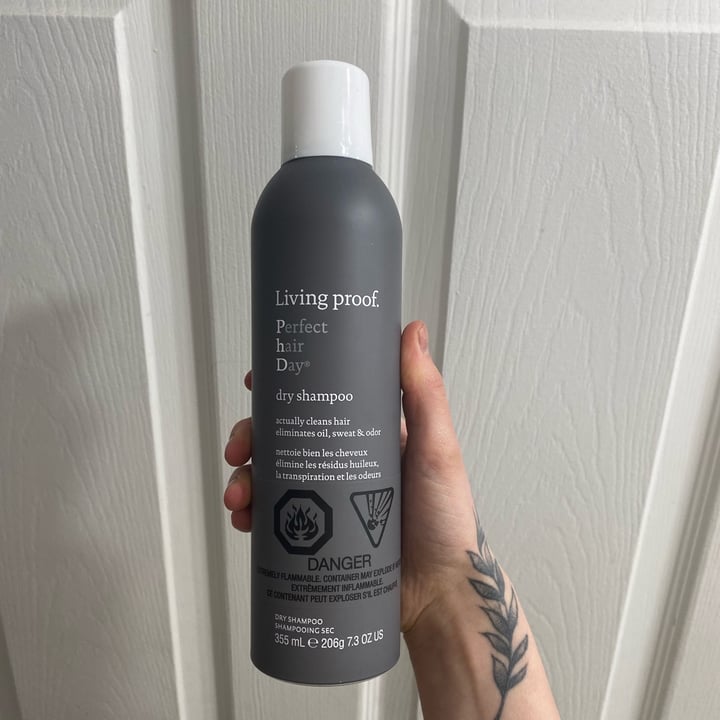 Living Proof Dry shampoo Review abillion