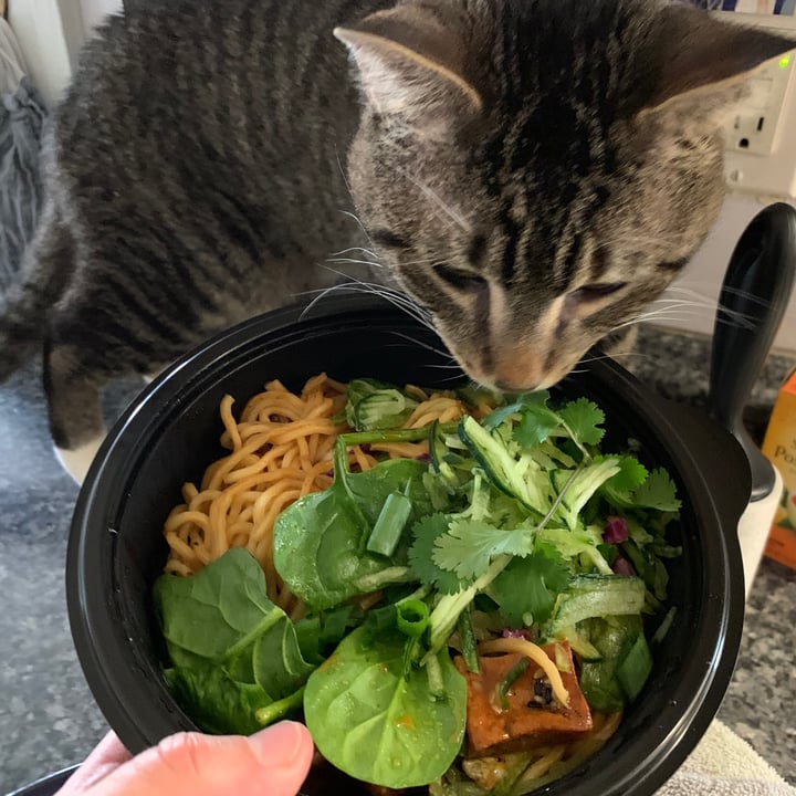 Noodles and Company Bloomington, United States Spicy Korean Noodles