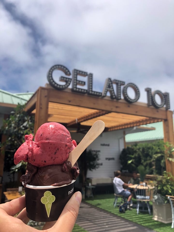 Gelato 101 Watermelon Gelato Reviews abillion