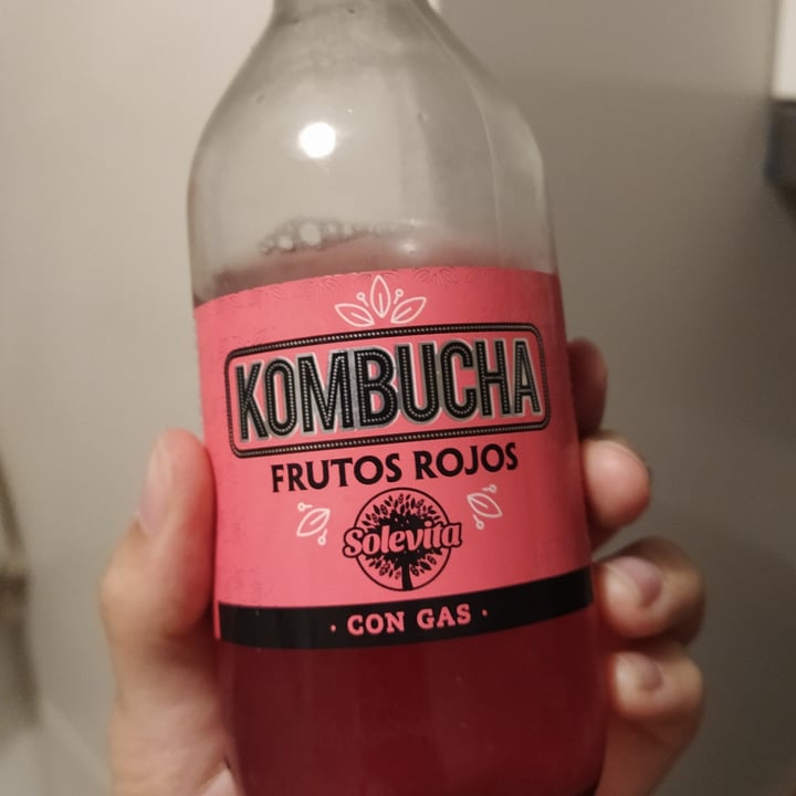 Solevita Kombucha Review abillion