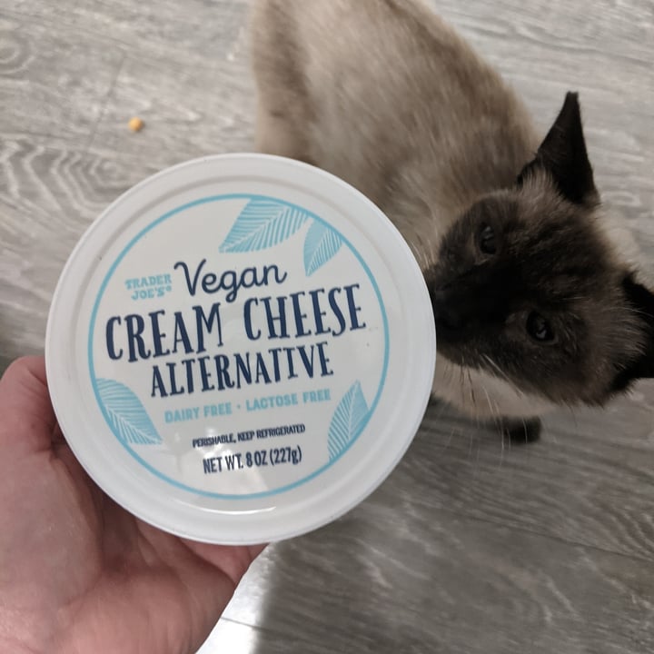 trader-joe-s-vegan-cream-cheese-alternative-review-abillion