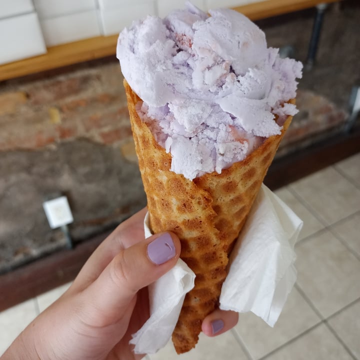 Hamilton desserts Collection abillion