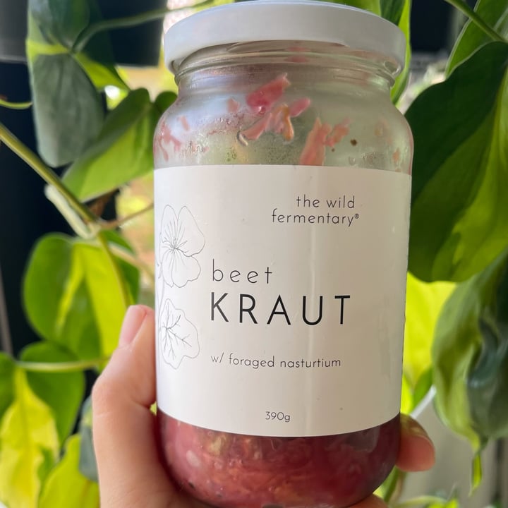 The wild fermentary Beet Kraut Review abillion