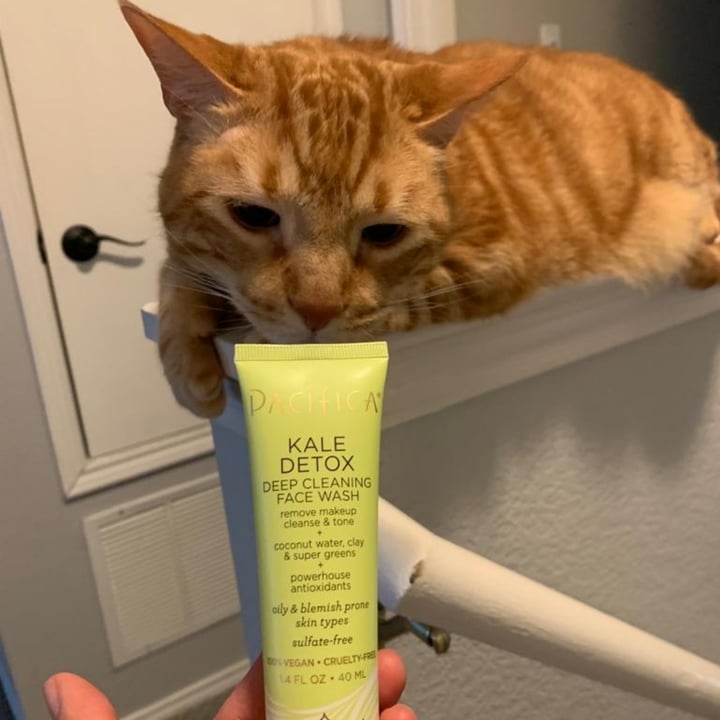 Pacifica Kale Detox Face Wash Review abillion