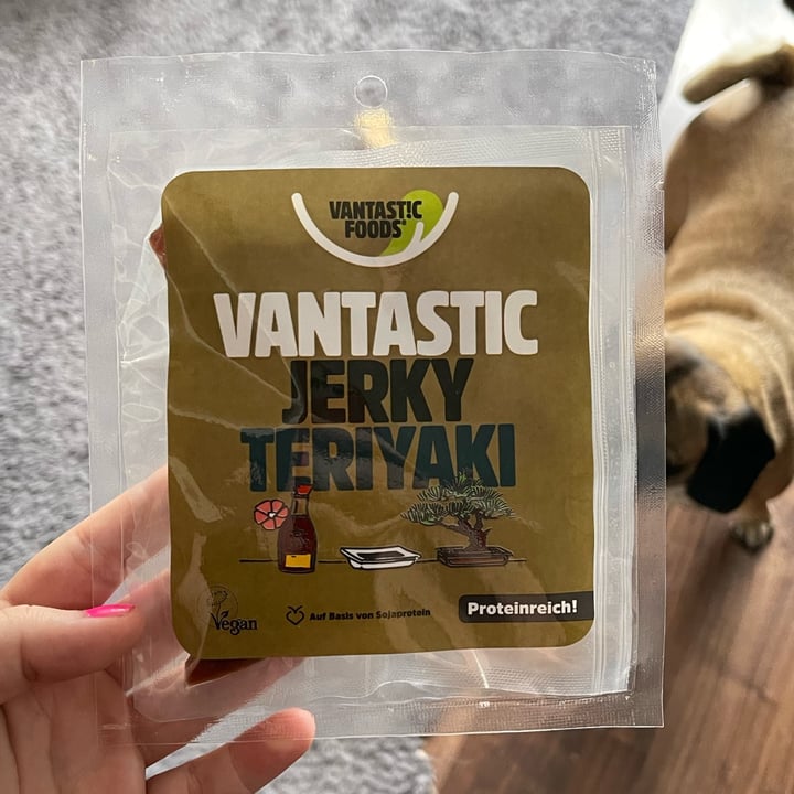 Vantastic Foods Soy Jerky Teriyaki Review abillion