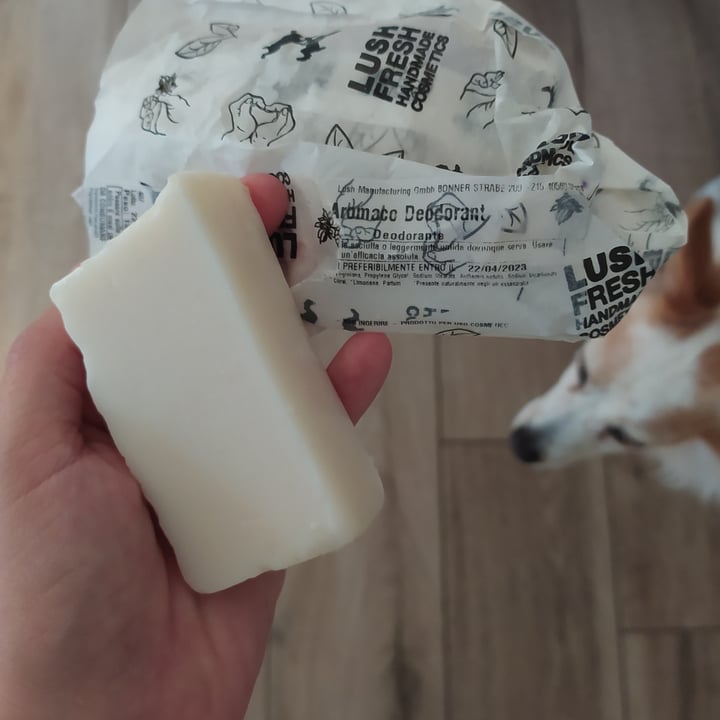 LUSH Fresh Handmade Cosmetics Aromaco deodorant Review abillion