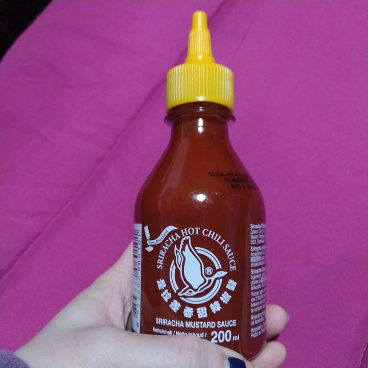Flying Goose Brand Sriracha Mustard Sauce Review abillion