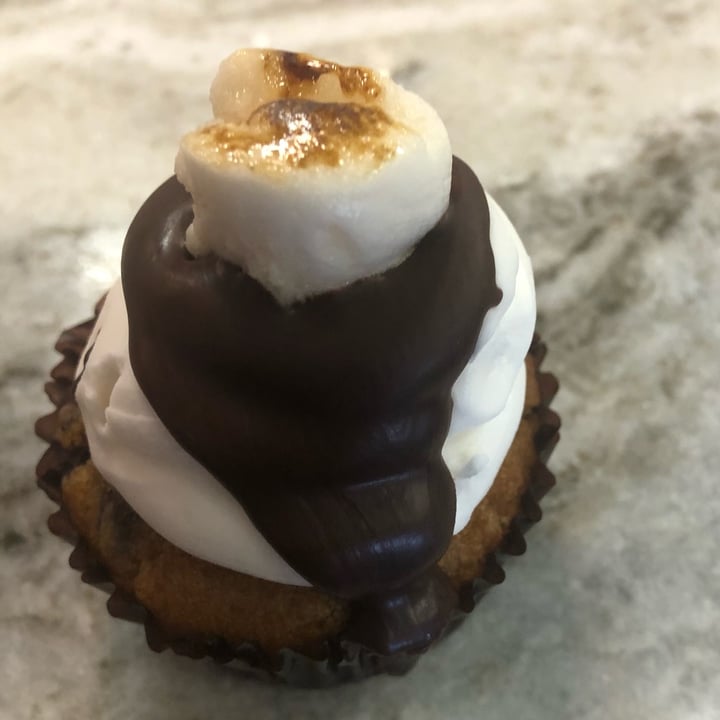 Fairly Frosted Bakery Gibson, Hamilton, Canada S’mores Cupcake Review