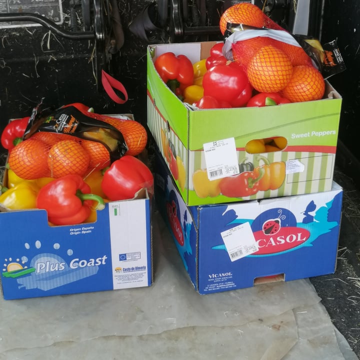 Cost Plus World Market Peperoni Reviews abillion