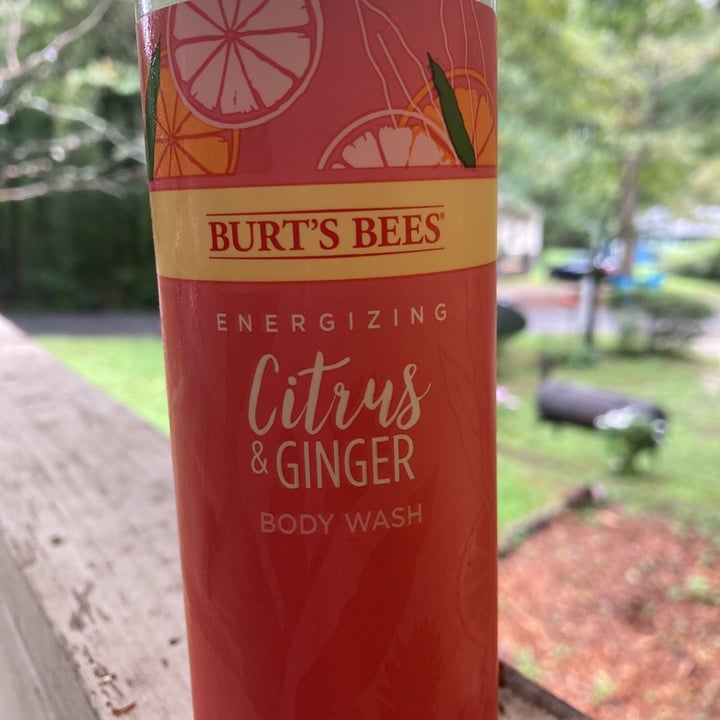 Burt’s Bees Citrus & Ginger Body Wash Review abillion