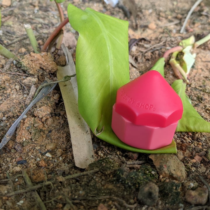 The Body Shop Lip juicer Reviews abillion