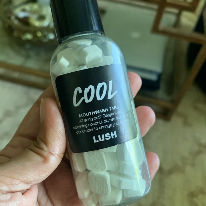 LUSH Fresh Handmade Cosmetics Cool mouthwash tabs Review abillion