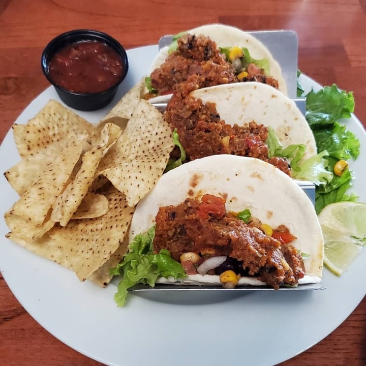 Sage on Laurel Brainerd, United States Street Tacos Review abillion