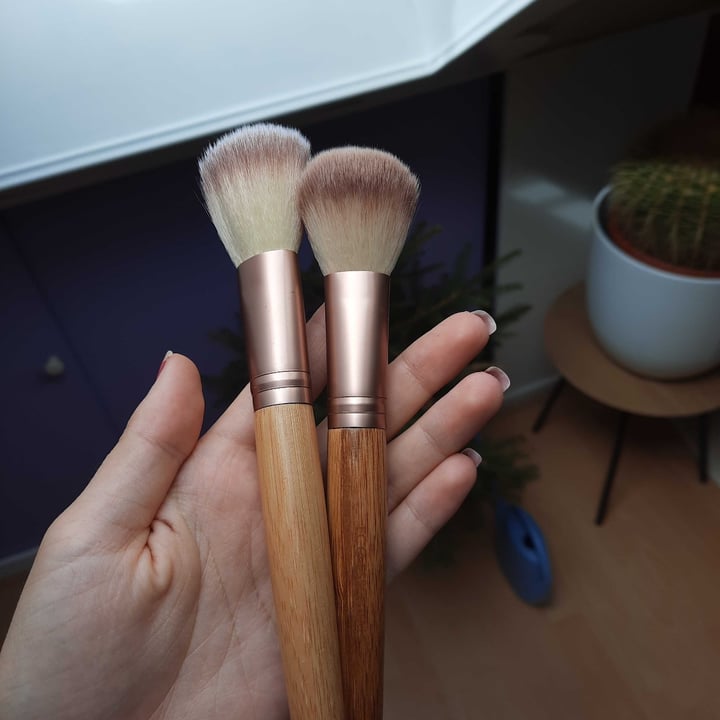 EcoTools Blush and powder brush Reviews abillion