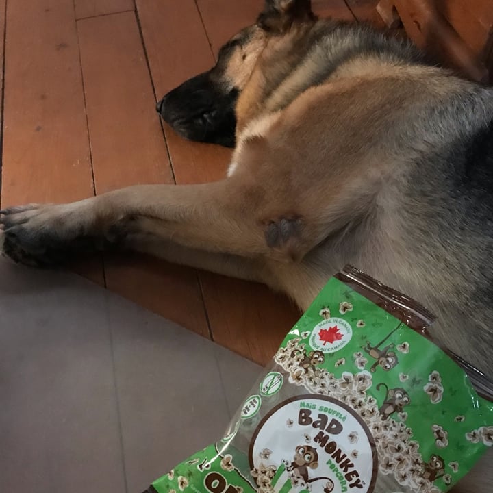 Bad Monkey Popcorn original salt and butter pop corn Review abillion