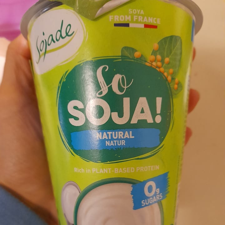 Sojade Yogurt so soja natural Review abillion
