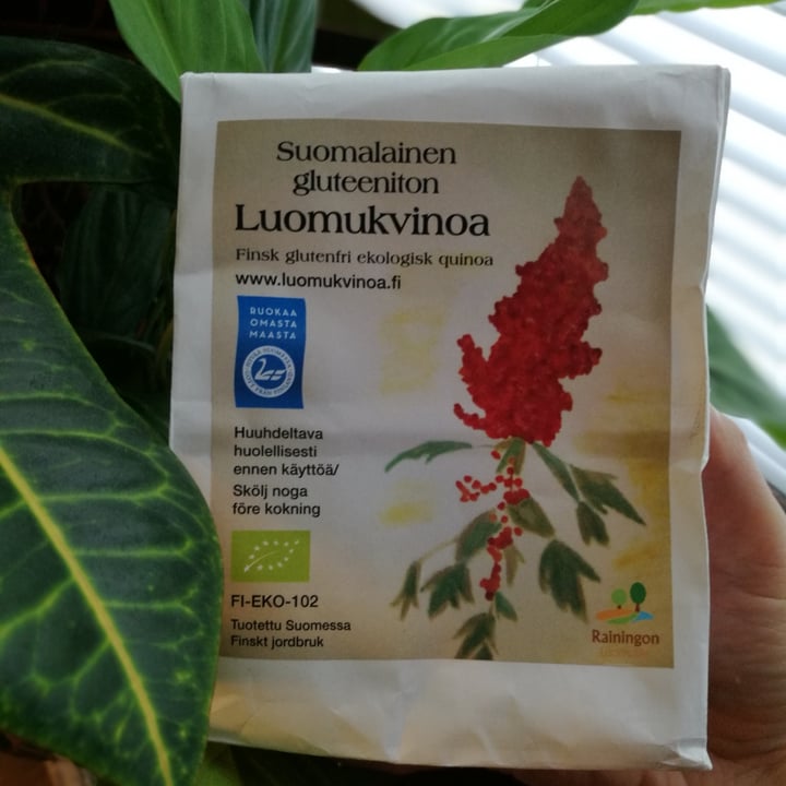 Rainingon Finnish organic quinoa Reviews | abillion
