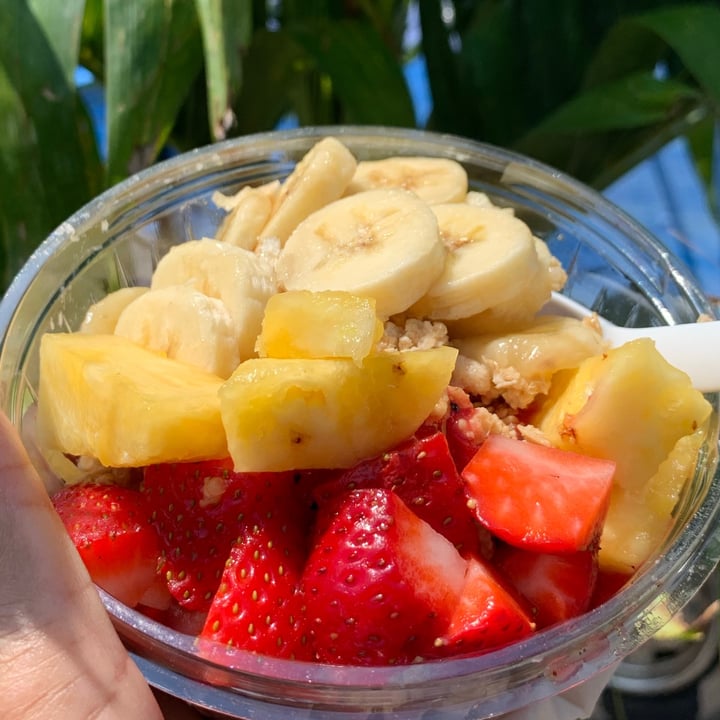 Maui Bowls Flamingo Bowl Review abillion