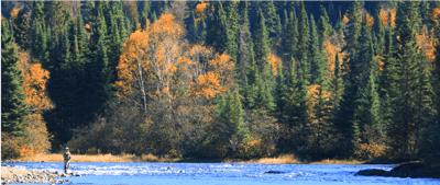Fall steelhead fishing near the Algoma Motel in Wawa Ontario