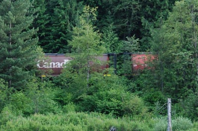 Griffin Lake Cabins | Cabin/Cottage Rentals | Revelstoke, BC photo 5