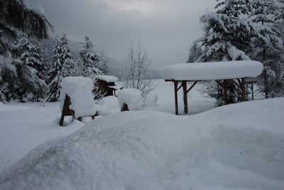 Griffin Lake Cabins | Cabin/Cottage Rentals | Revelstoke, BC - Photo 3