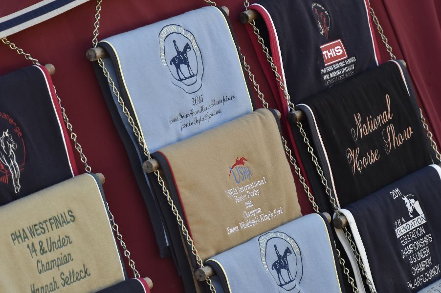 Business planning page image of horse show achievements