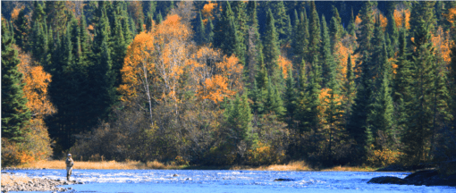 Fall steelhead fishing near the Algoma Motel in Wawa