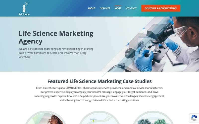 RainCastle life science marketing agency page with case studies for Belmar Pharma Solutions, Solvias and Spear Bio