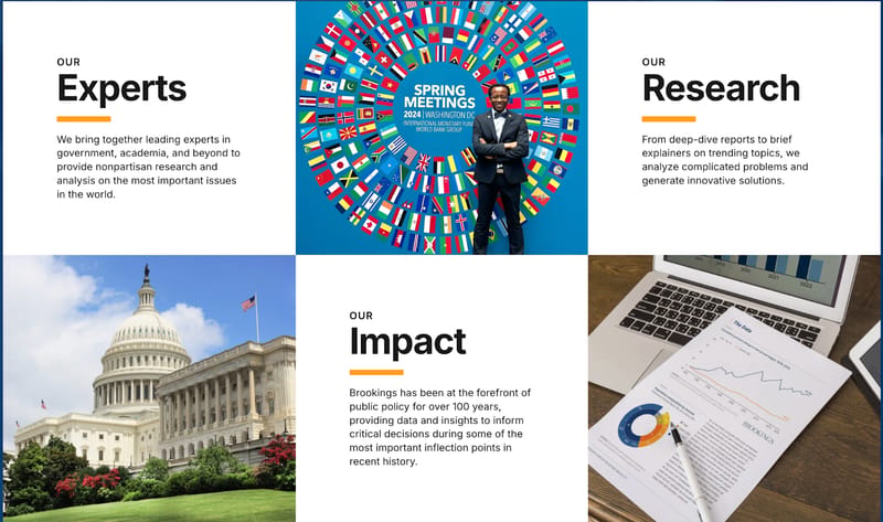 Brookings, a nonprofit organization content strategy example.