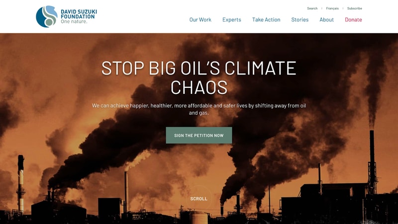 hero message of the home page for nonprofit website David Suzuki Foundation