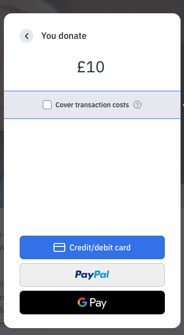 Donation payment providers example