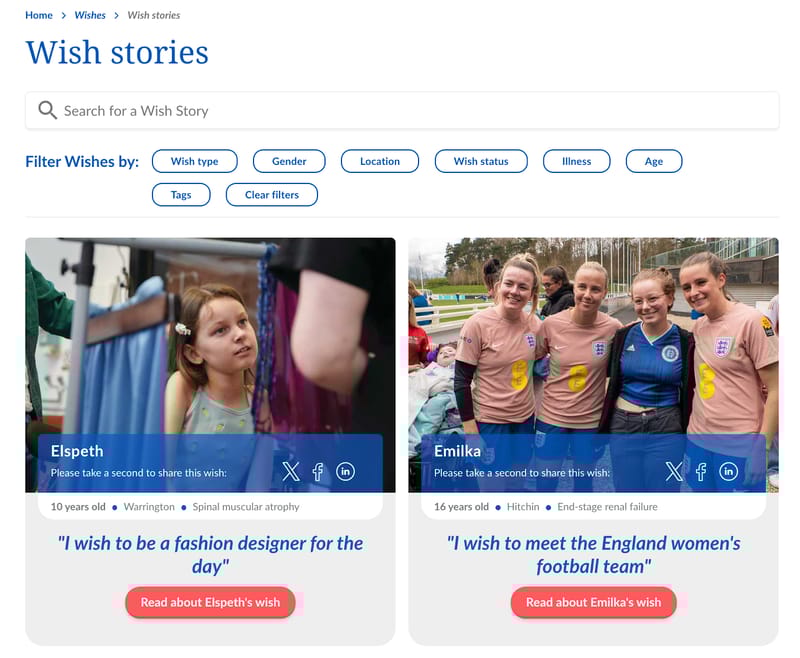 Nonprofit search bar example