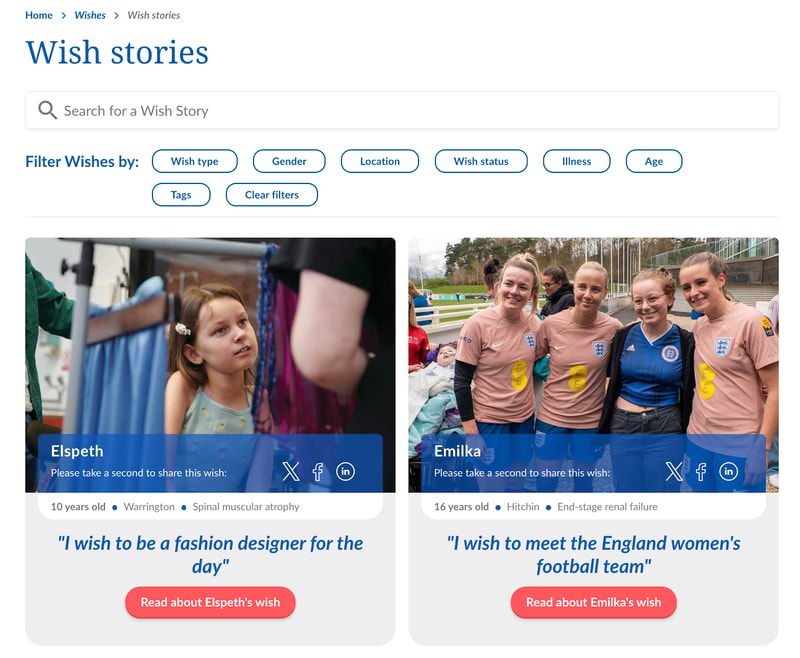 Nonprofit search bar example