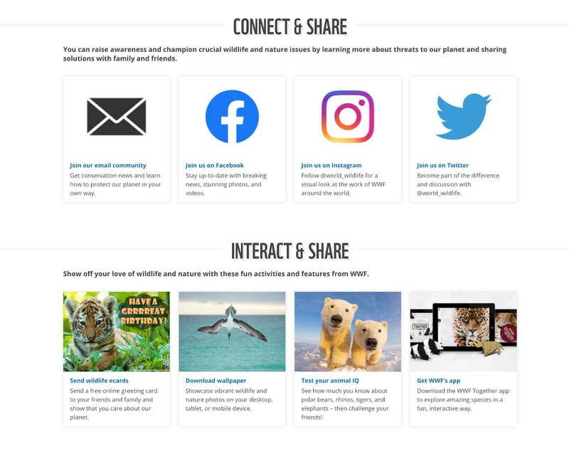 Nonprofit website social media integration example