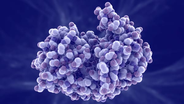 Stomach enzyme important to health