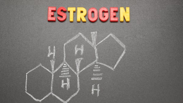 Chemical makeup of estrogen drawn on a chalkboard