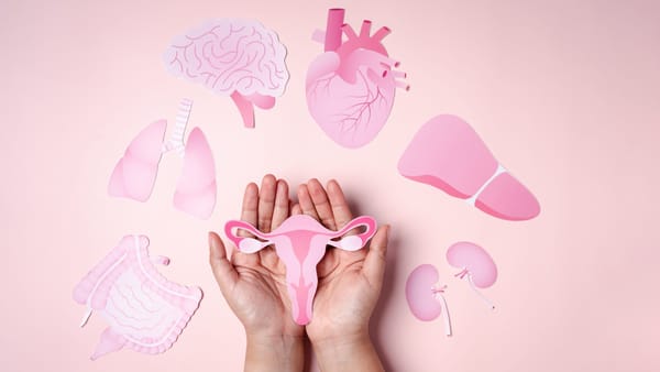 Images representing a uterus and female organs
