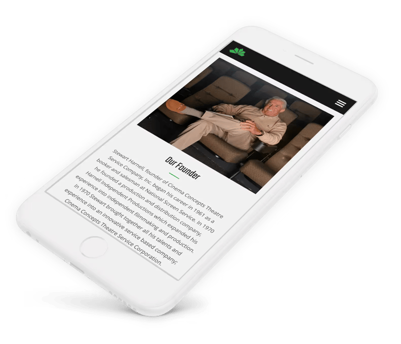 Website on mobile phone