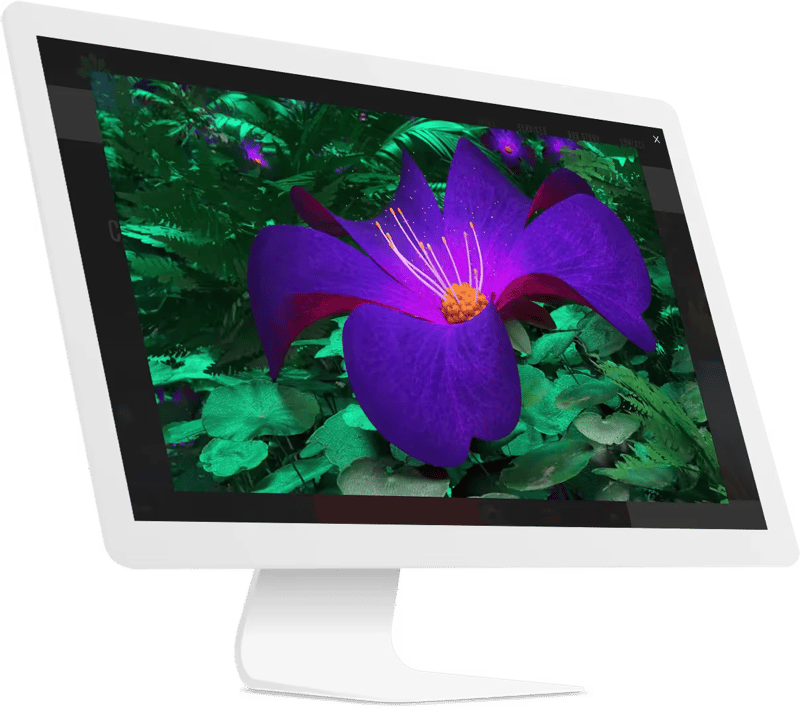 Fast, secure website