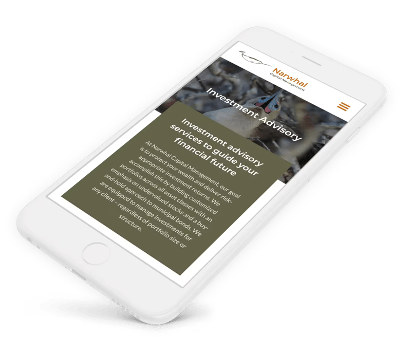 iPhone website design