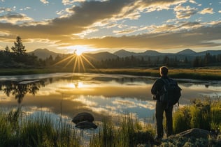 Sun Valley, California cityscape