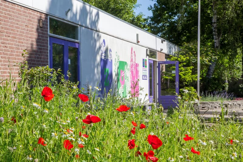 BSO De Zwanebloem - Buitenschoolse opvang in Zwaanshoek