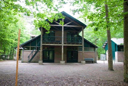 Bazenbos - Buitenschoolse opvang in Bergeijk