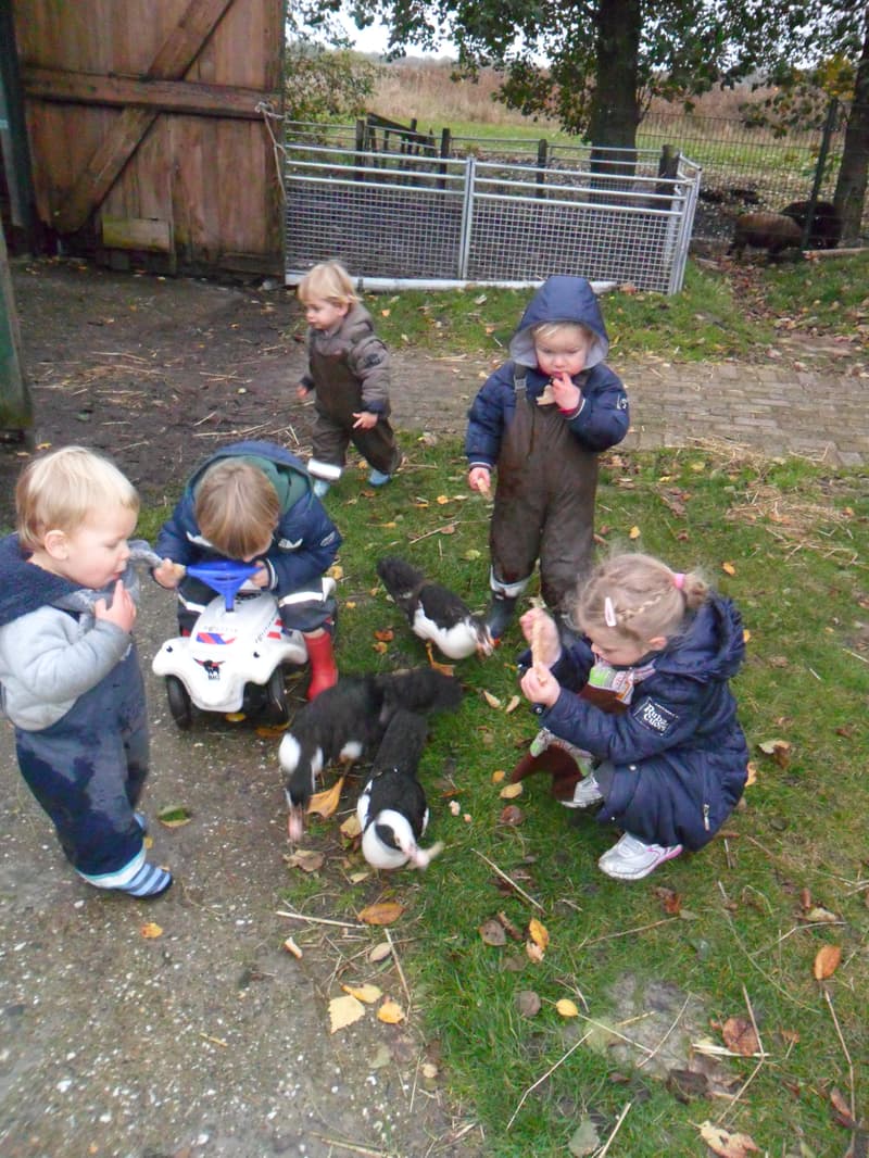 Kinderopvang De Wielenweide B.V. - Buitenschoolse opvang in Ryptsjerk