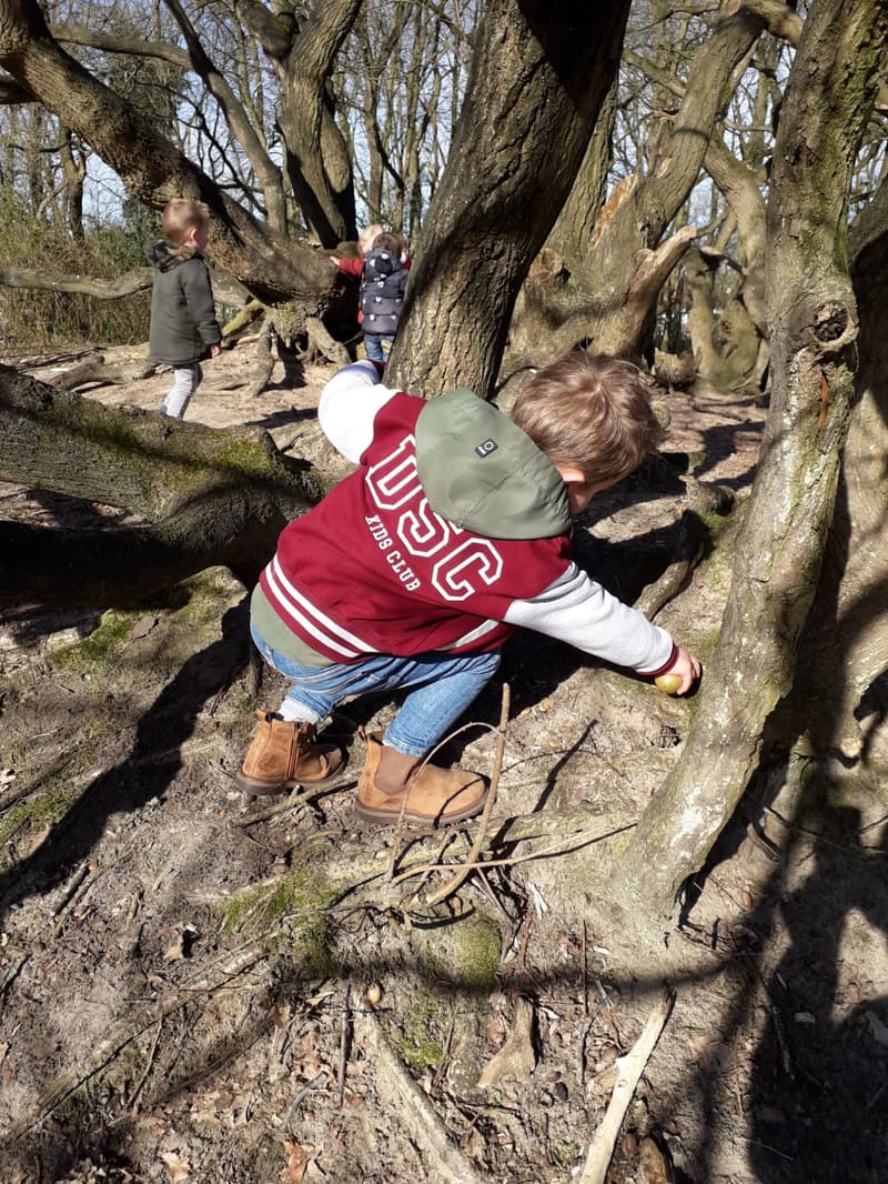 VOF De Tovertuin - Daycare in Dongen